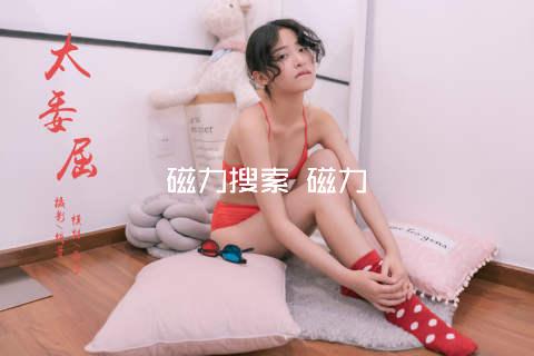 磁力搜索 磁力